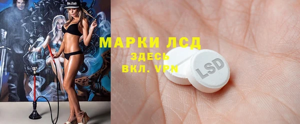прущие грибы Балахна