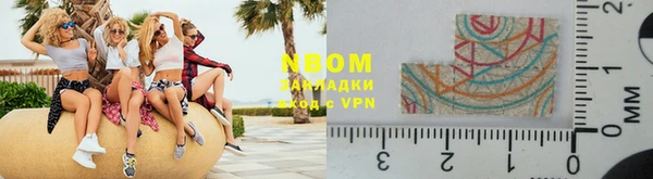 прущие грибы Балахна