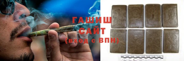 прущие грибы Балахна