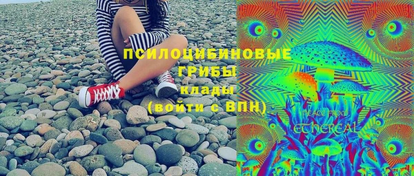 прущие грибы Балахна