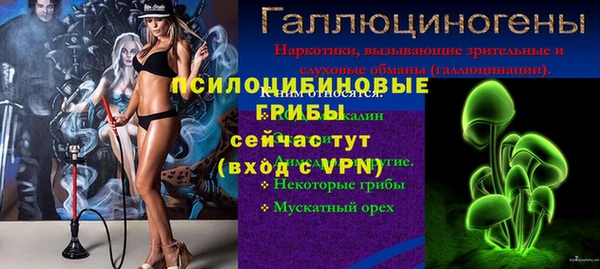 прущие грибы Балахна