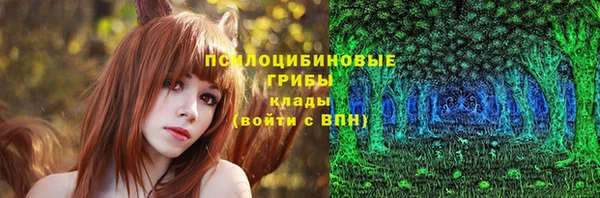 ПСИЛОЦИБИНОВЫЕ ГРИБЫ Баксан