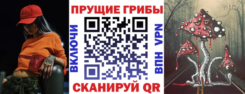 ссылка на мегу зеркало  где можно купить наркотик  Курильск  Псилоцибиновые грибы ЛСД 